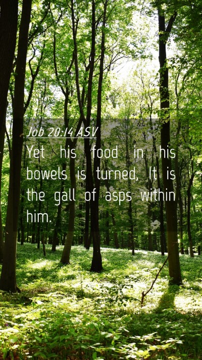 Picture 04 - Job 20:14 ASV Mobile Phone Wallpaper - Yet his food in his bowels is turned, It is the - Mobile Bible Verse Wallpaper