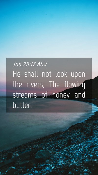 Picture 04 - Job 20:17 ASV Mobile Phone Wallpaper - He shall not look upon the rivers, The flowing - Mobile Bible Verse Wallpaper