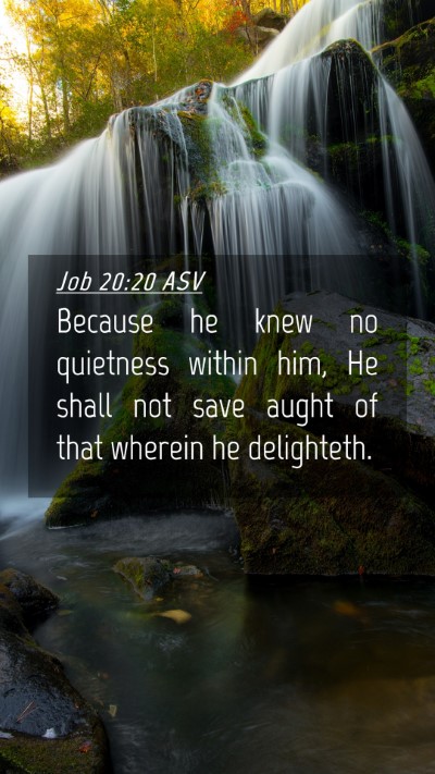Picture 04 - Job 20:20 ASV Mobile Phone Wallpaper - Because he knew no quietness within him, He shall - Mobile Bible Verse Wallpaper