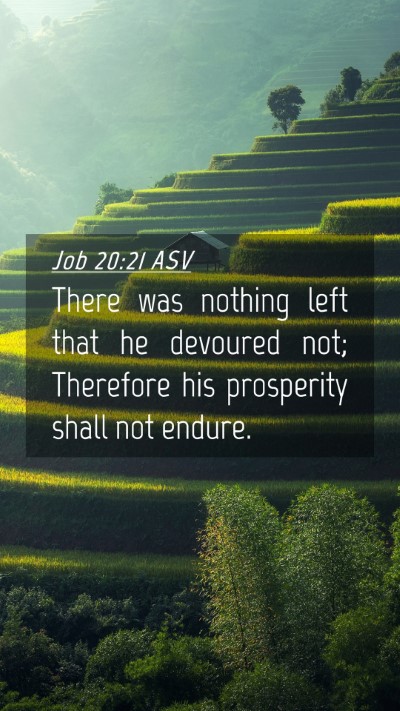 Picture 04 - Job 20:21 ASV Mobile Phone Wallpaper - There was nothing left that he devoured not; - Mobile Bible Verse Wallpaper