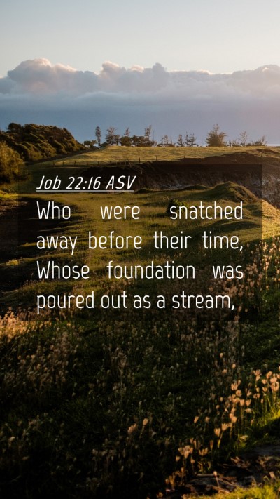 Picture 04 - Job 22:16 ASV Mobile Phone Wallpaper - Who were snatched away before their time, Whose - Mobile Bible Verse Wallpaper