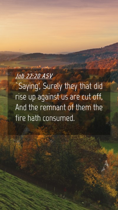 Picture 04 - Job 22:20 ASV Mobile Phone Wallpaper - `Saying', Surely they that did rise up against us - Mobile Bible Verse Wallpaper