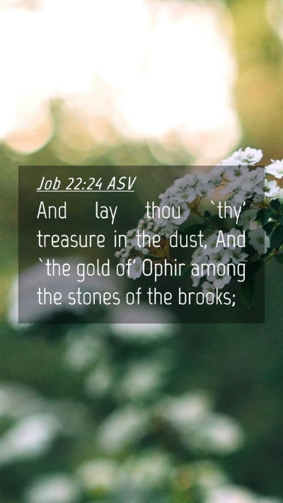 Picture 04 - Job 22:24 ASV Mobile Phone Wallpaper - And lay thou `thy' treasure in the dust, And `the - Mobile Bible Verse Wallpaper