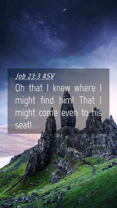 Picture 04 - Job 23:3 ASV Mobile Phone Wallpaper - Oh that I knew where I might find him! That I - Mobile Bible Verse Wallpaper
