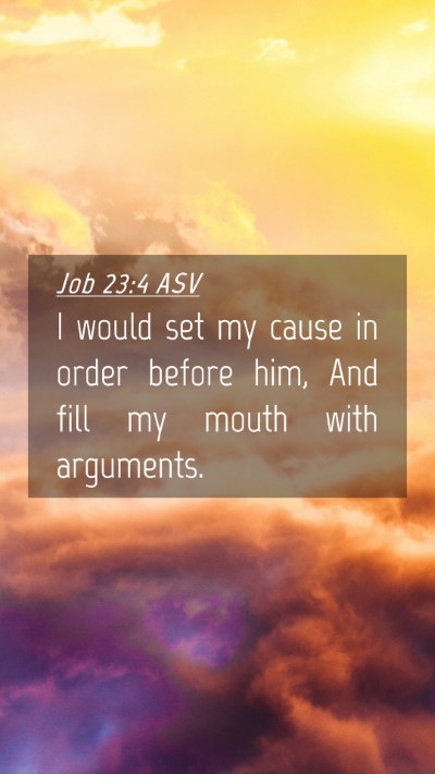 Picture 04 - Job 23:4 ASV Mobile Phone Wallpaper - I would set my cause in order before him, And - Mobile Bible Verse Wallpaper