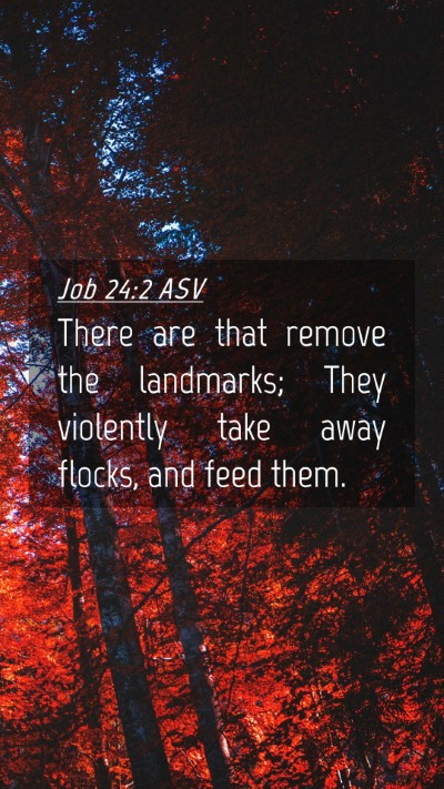 Picture 04 - Job 24:2 ASV Mobile Phone Wallpaper - There are that remove the landmarks; They - Mobile Bible Verse Wallpaper