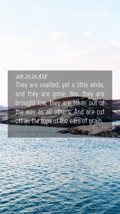 Picture 04 - Job 24:24 ASV Mobile Phone Wallpaper - They are exalted; yet a little while, and they - Mobile Bible Verse Wallpaper