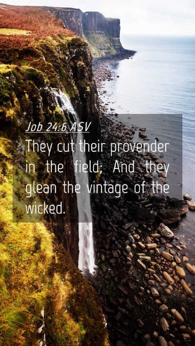 Picture 04 - Job 24:6 ASV Mobile Phone Wallpaper - They cut their provender in the field; And they - Mobile Bible Verse Wallpaper