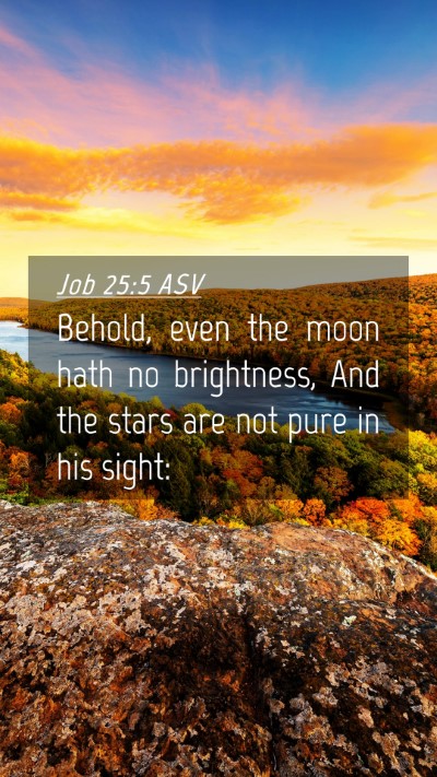 Picture 04 - Job 25:5 ASV Mobile Phone Wallpaper - Behold, even the moon hath no brightness, And the - Mobile Bible Verse Wallpaper