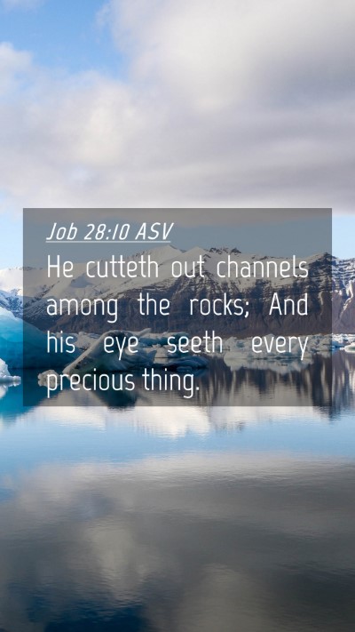 Picture 04 - Job 28:10 ASV Mobile Phone Wallpaper - He cutteth out channels among the rocks; And his - Mobile Bible Verse Wallpaper