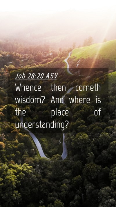 Picture 04 - Job 28:20 ASV Mobile Phone Wallpaper - Whence then cometh wisdom? And where is the place - Mobile Bible Verse Wallpaper