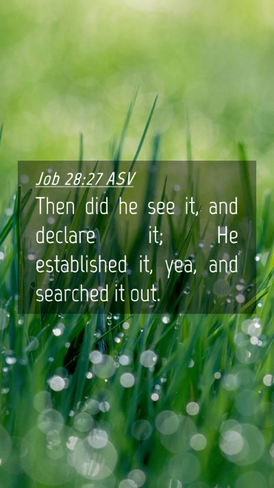 Picture 04 - Job 28:27 ASV Mobile Phone Wallpaper - Then did he see it, and declare it; He - Mobile Bible Verse Wallpaper