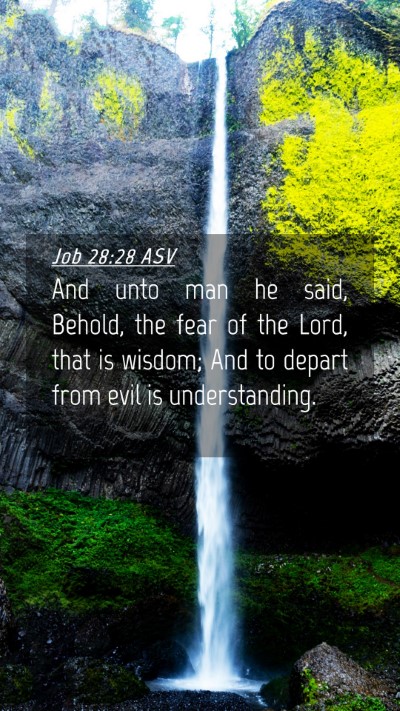 Picture 04 - Job 28:28 ASV Mobile Phone Wallpaper - And unto man he said, Behold, the fear of the - Mobile Bible Verse Wallpaper
