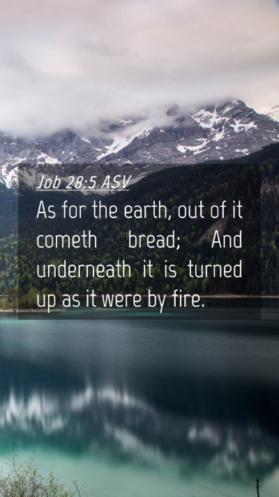 Picture 04 - Job 28:5 ASV Mobile Phone Wallpaper - As for the earth, out of it cometh bread; And - Mobile Bible Verse Wallpaper