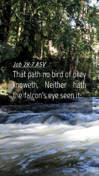 Picture 04 - Job 28:7 ASV Mobile Phone Wallpaper - That path no bird of prey knoweth, Neither hath - Mobile Bible Verse Wallpaper