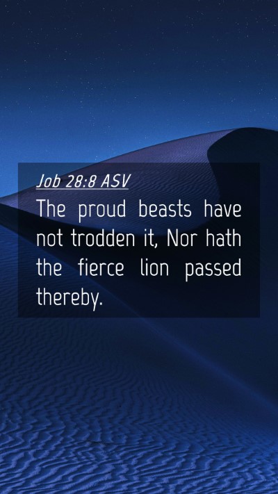 Picture 04 - Job 28:8 ASV Mobile Phone Wallpaper - The proud beasts have not trodden it, Nor hath - Mobile Bible Verse Wallpaper
