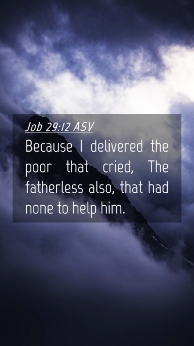 Picture 04 - Job 29:12 ASV Mobile Phone Wallpaper - Because I delivered the poor that cried, The - Mobile Bible Verse Wallpaper
