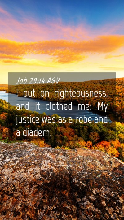 Picture 04 - Job 29:14 ASV Mobile Phone Wallpaper - I put on righteousness, and it clothed me: My - Mobile Bible Verse Wallpaper