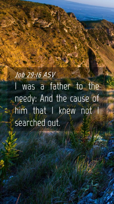Picture 04 - Job 29:16 ASV Mobile Phone Wallpaper - I was a father to the needy: And the cause of him - Mobile Bible Verse Wallpaper