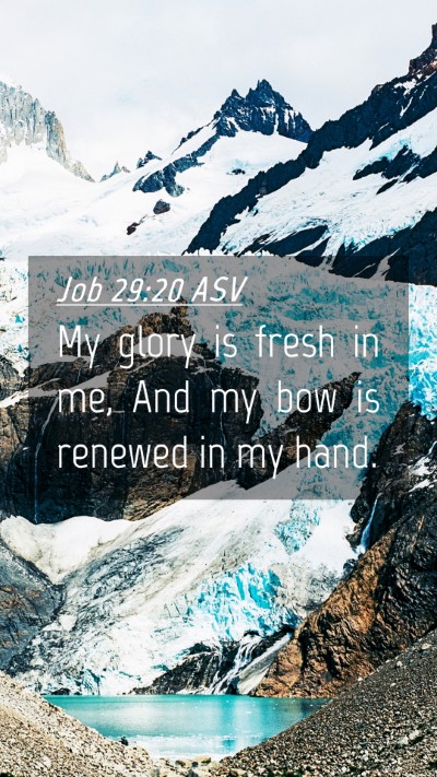 Picture 04 - Job 29:20 ASV Mobile Phone Wallpaper - My glory is fresh in me, And my bow is renewed in - Mobile Bible Verse Wallpaper