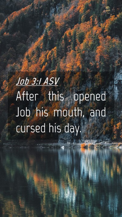 Picture 04 - Job 3:1 ASV Mobile Phone Wallpaper - After this opened Job his mouth, and cursed his - Mobile Bible Verse Wallpaper