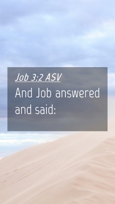 Picture 04 - Job 3:2 ASV Mobile Phone Wallpaper - And Job answered and - Mobile Bible Verse Wallpaper