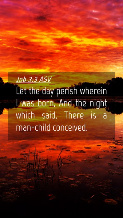 Picture 04 - Job 3:3 ASV Mobile Phone Wallpaper - Let the day perish wherein I was born, And the - Mobile Bible Verse Wallpaper