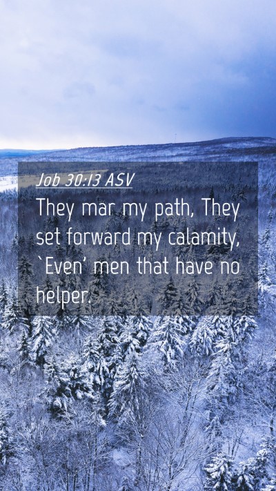 Picture 04 - Job 30:13 ASV Mobile Phone Wallpaper - They mar my path, They set forward my calamity, - Mobile Bible Verse Wallpaper