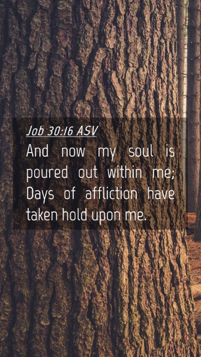 Picture 04 - Job 30:16 ASV Mobile Phone Wallpaper - And now my soul is poured out within me; Days of - Mobile Bible Verse Wallpaper
