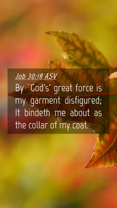 Picture 04 - Job 30:18 ASV Mobile Phone Wallpaper - By `God's' great force is my garment disfigured; - Mobile Bible Verse Wallpaper