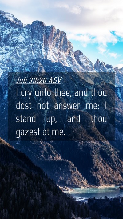 Picture 04 - Job 30:20 ASV Mobile Phone Wallpaper - I cry unto thee, and thou dost not answer me: I - Mobile Bible Verse Wallpaper