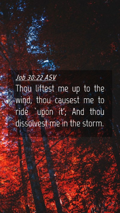 Picture 04 - Job 30:22 ASV Mobile Phone Wallpaper - Thou liftest me up to the wind, thou causest me - Mobile Bible Verse Wallpaper