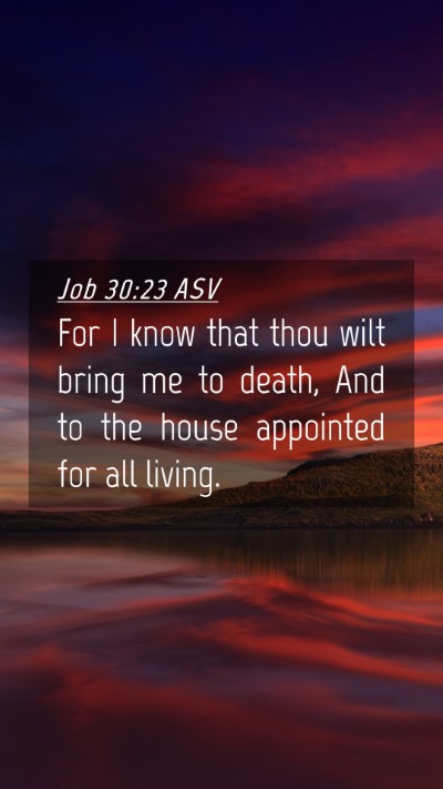 Picture 04 - Job 30:23 ASV Mobile Phone Wallpaper - For I know that thou wilt bring me to death, And - Mobile Bible Verse Wallpaper