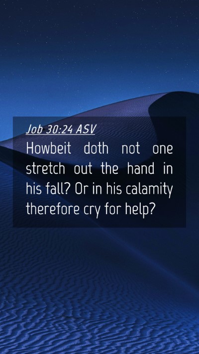 Picture 04 - Job 30:24 ASV Mobile Phone Wallpaper - Howbeit doth not one stretch out the hand in his - Mobile Bible Verse Wallpaper