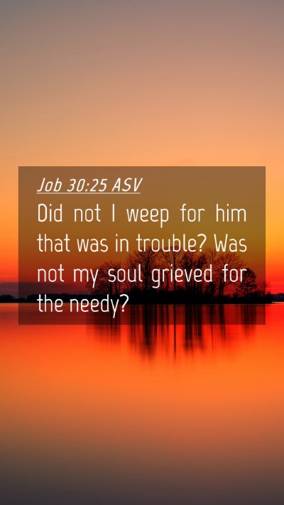 Picture 04 - Job 30:25 ASV Mobile Phone Wallpaper - Did not I weep for him that was in trouble? Was - Mobile Bible Verse Wallpaper