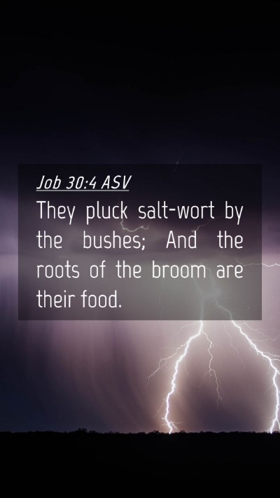 Picture 04 - Job 30:4 ASV Mobile Phone Wallpaper - They pluck salt-wort by the bushes; And the roots - Mobile Bible Verse Wallpaper