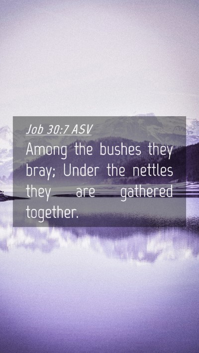 Picture 04 - Job 30:7 ASV Mobile Phone Wallpaper - Among the bushes they bray; Under the nettles - Mobile Bible Verse Wallpaper
