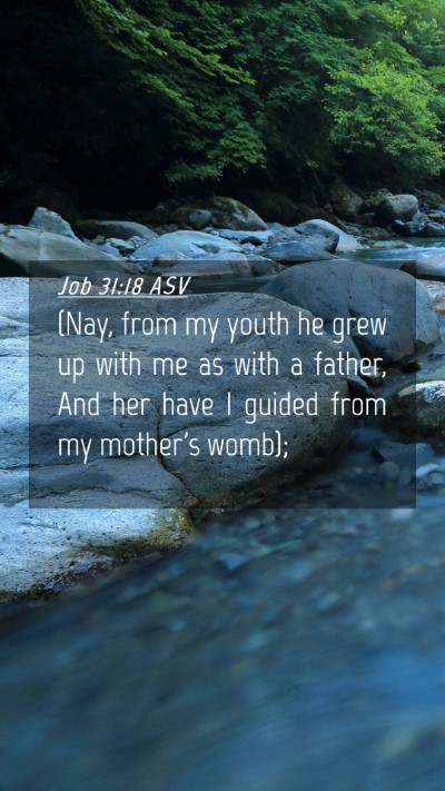 Picture 04 - Job 31:18 ASV Mobile Phone Wallpaper - (Nay, from my youth he grew up with me as with a - Mobile Bible Verse Wallpaper