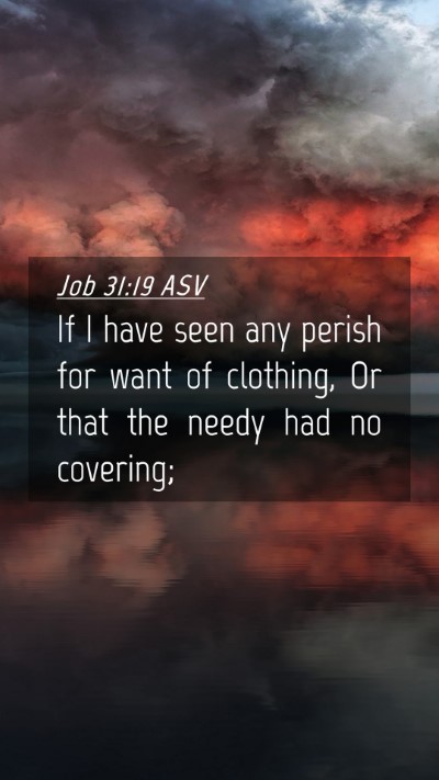 Picture 04 - Job 31:19 ASV Mobile Phone Wallpaper - If I have seen any perish for want of clothing, - Mobile Bible Verse Wallpaper