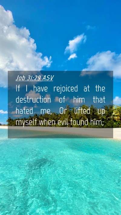 Picture 04 - Job 31:29 ASV Mobile Phone Wallpaper - If I have rejoiced at the destruction of him that - Mobile Bible Verse Wallpaper