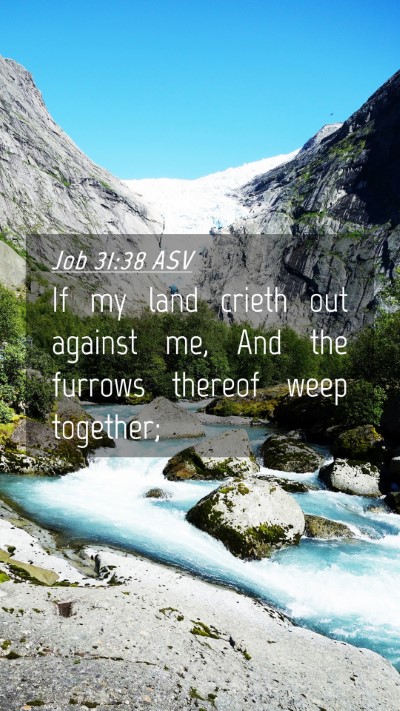 Picture 04 - Job 31:38 ASV Mobile Phone Wallpaper - If my land crieth out against me, And the furrows - Mobile Bible Verse Wallpaper