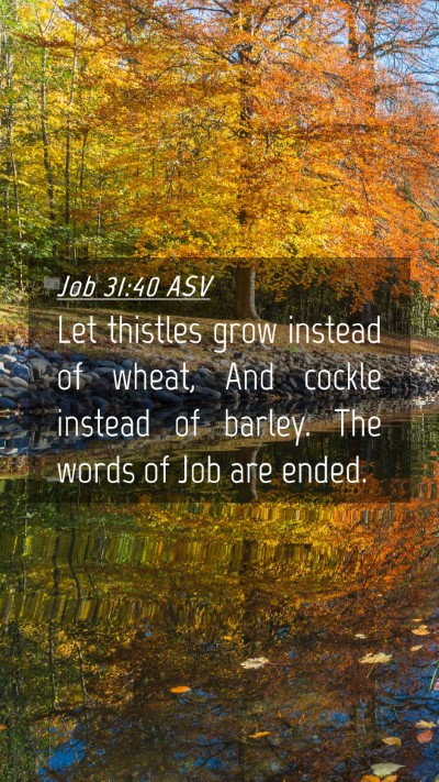 Picture 04 - Job 31:40 ASV Mobile Phone Wallpaper - Let thistles grow instead of wheat, And cockle - Mobile Bible Verse Wallpaper
