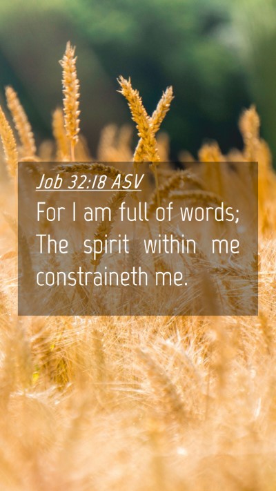 Picture 04 - Job 32:18 ASV Mobile Phone Wallpaper - For I am full of words; The spirit within me - Mobile Bible Verse Wallpaper