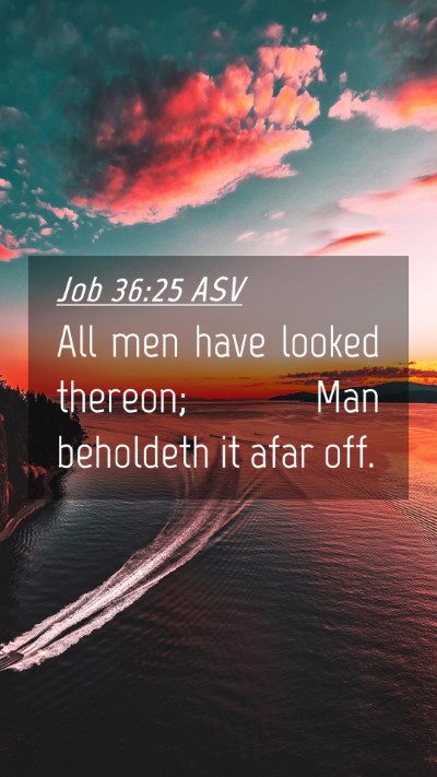 Picture 04 - Job 36:25 ASV Mobile Phone Wallpaper - All men have looked thereon; Man beholdeth it - Mobile Bible Verse Wallpaper