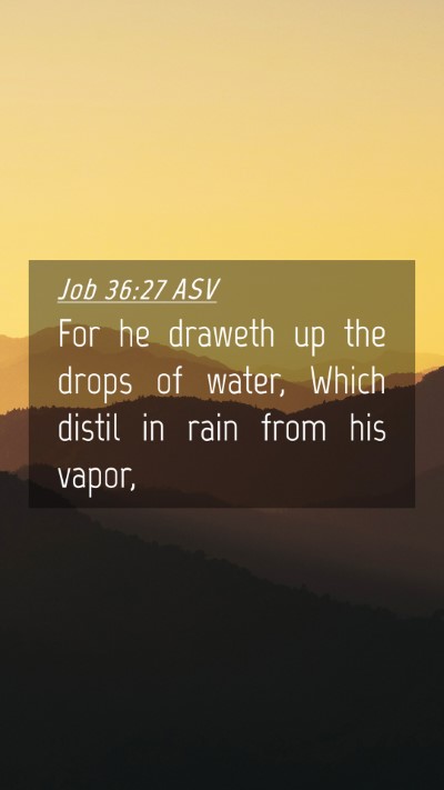 Picture 04 - Job 36:27 ASV Mobile Phone Wallpaper - For he draweth up the drops of water, Which - Mobile Bible Verse Wallpaper