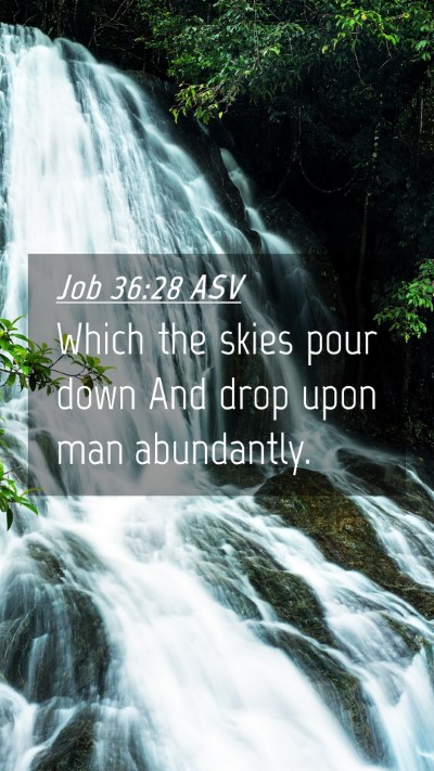 Picture 04 - Job 36:28 ASV Mobile Phone Wallpaper - Which the skies pour down And drop upon man - Mobile Bible Verse Wallpaper