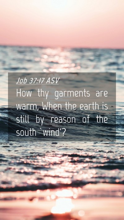 Picture 04 - Job 37:17 ASV Mobile Phone Wallpaper - How thy garments are warm, When the earth is - Mobile Bible Verse Wallpaper