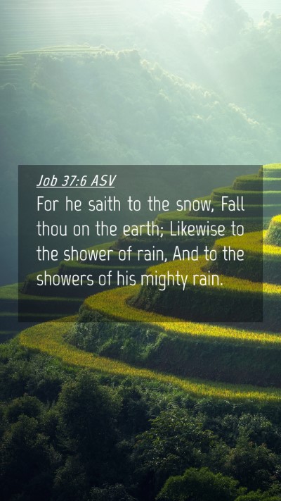 Picture 04 - Job 37:6 ASV Mobile Phone Wallpaper - For he saith to the snow, Fall thou on the earth; - Mobile Bible Verse Wallpaper