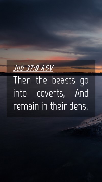 Picture 04 - Job 37:8 ASV Mobile Phone Wallpaper - Then the beasts go into coverts, And remain in - Mobile Bible Verse Wallpaper