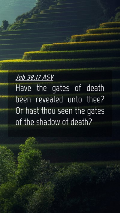 Picture 04 - Job 38:17 ASV Mobile Phone Wallpaper - Have the gates of death been revealed unto thee? - Mobile Bible Verse Wallpaper